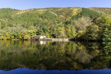 Pancharevo Gölü çevresindeki sonbahar manzarası, Sofya şehir bölgesi, Bulgaristan