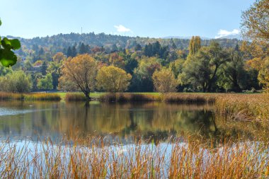 Pancharevo Gölü çevresindeki sonbahar manzarası, Sofya şehir bölgesi, Bulgaristan