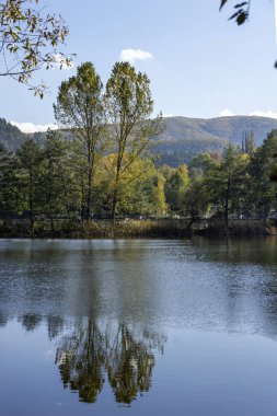 Pancharevo Gölü çevresindeki sonbahar manzarası, Sofya şehir bölgesi, Bulgaristan