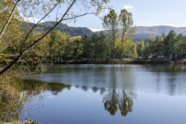 Pancharevo Gölü çevresindeki sonbahar manzarası, Sofya şehir bölgesi, Bulgaristan