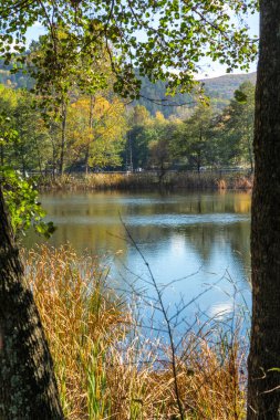 Pancharevo Gölü çevresindeki sonbahar manzarası, Sofya şehir bölgesi, Bulgaristan