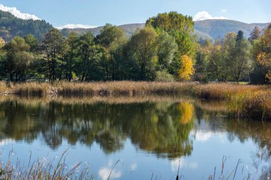 Pancharevo Gölü çevresindeki sonbahar manzarası, Sofya şehir bölgesi, Bulgaristan