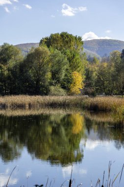 Pancharevo Gölü çevresindeki sonbahar manzarası, Sofya şehir bölgesi, Bulgaristan