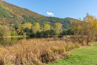 Pancharevo Gölü çevresindeki sonbahar manzarası, Sofya şehir bölgesi, Bulgaristan