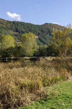 Pancharevo Gölü çevresindeki sonbahar manzarası, Sofya şehir bölgesi, Bulgaristan