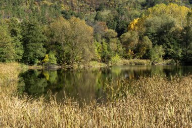 Pancharevo Gölü çevresindeki sonbahar manzarası, Sofya şehir bölgesi, Bulgaristan