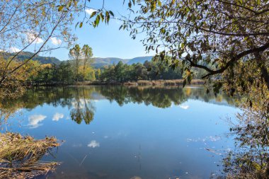 Pancharevo Gölü çevresindeki sonbahar manzarası, Sofya şehir bölgesi, Bulgaristan