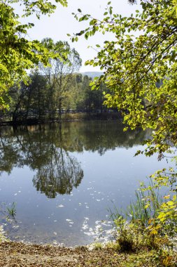 Pancharevo Gölü çevresindeki sonbahar manzarası, Sofya şehir bölgesi, Bulgaristan