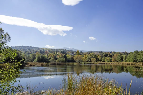 Pancharevo Gölü çevresindeki sonbahar manzarası, Sofya şehir bölgesi, Bulgaristan