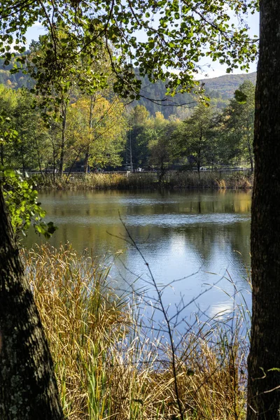 Pancharevo Gölü çevresindeki sonbahar manzarası, Sofya şehir bölgesi, Bulgaristan