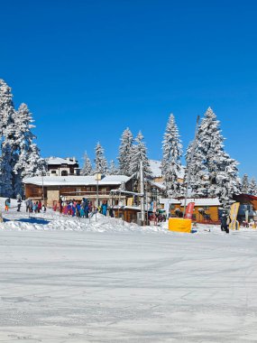 BOROVETS, BULGARIA - 20 Şubat 2025: Bulgaristan 'ın Sofya Bölgesindeki Rila Dağı' ndaki Borovets kayak merkezinin kış manzarası