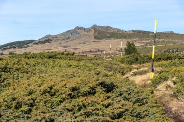 Bulgaristan 'ın Platoto bölgesindeki Vitosha Dağı' nın şaşırtıcı sonbahar manzarası