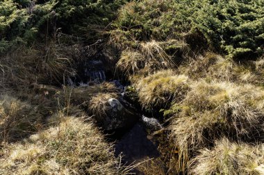 Bulgaristan 'ın Platoto bölgesindeki Vitosha Dağı' nın şaşırtıcı sonbahar manzarası