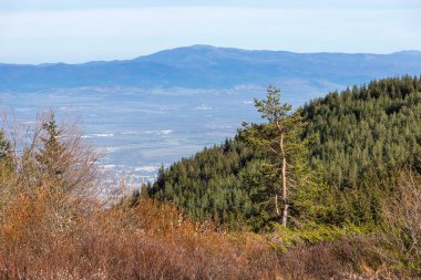 Bulgaristan 'ın Platoto bölgesindeki Vitosha Dağı' nın şaşırtıcı sonbahar manzarası