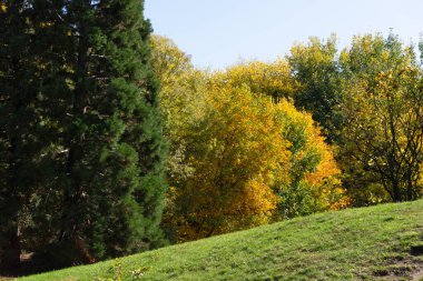 Bulgaristan 'ın Sofya kentindeki South Park' ın Muhteşem Sonbahar Manzarası