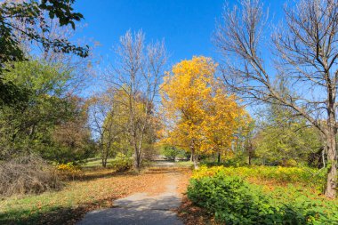 Bulgaristan 'ın Sofya kentindeki South Park' ın Muhteşem Sonbahar Manzarası