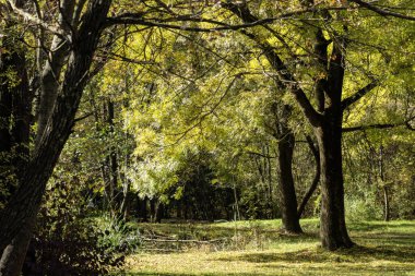 Bulgaristan 'ın Sofya kentindeki South Park' ın Muhteşem Sonbahar Manzarası