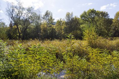 Bulgaristan 'ın Sofya kentindeki South Park' ın Muhteşem Sonbahar Manzarası