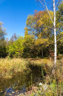 Bulgaristan 'ın Sofya kentindeki South Park' ın Muhteşem Sonbahar Manzarası