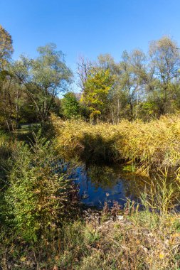 Bulgaristan 'ın Sofya kentindeki South Park' ın Muhteşem Sonbahar Manzarası