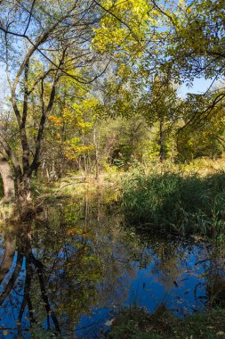 Bulgaristan 'ın Sofya kentindeki South Park' ın Muhteşem Sonbahar Manzarası