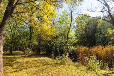 Bulgaristan 'ın Sofya kentindeki South Park' ın Muhteşem Sonbahar Manzarası