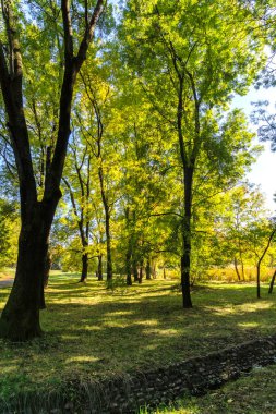 Bulgaristan 'ın Sofya kentindeki South Park' ın Muhteşem Sonbahar Manzarası