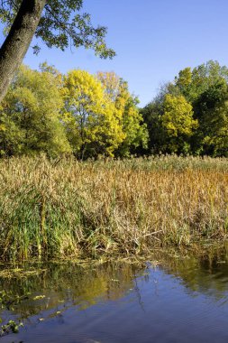 Bulgaristan 'ın Sofya kentindeki South Park' ın Muhteşem Sonbahar Manzarası