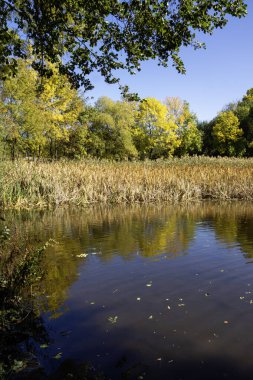 Bulgaristan 'ın Sofya kentindeki South Park' ın Muhteşem Sonbahar Manzarası