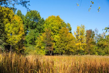 Bulgaristan 'ın Sofya kentindeki South Park' ın Muhteşem Sonbahar Manzarası