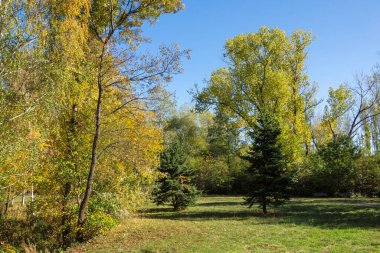 Bulgaristan 'ın Sofya kentindeki South Park' ın Muhteşem Sonbahar Manzarası