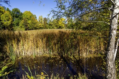 Bulgaristan 'ın Sofya kentindeki South Park' ın Muhteşem Sonbahar Manzarası