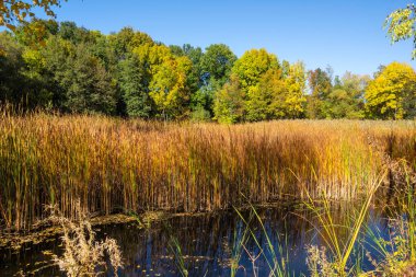 Bulgaristan 'ın Sofya kentindeki South Park' ın Muhteşem Sonbahar Manzarası