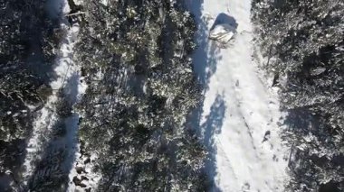 Bulgaristan 'ın Sofya Bölgesi Beli Iskar nehri yakınlarındaki Rila Dağı' nın kış manzarası