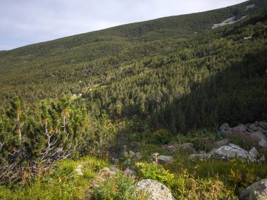 Bulgaristan 'ın Yakoruda Gölleri yakınlarındaki Rila Dağı' nın İnanılmaz Yaz Manzarası
