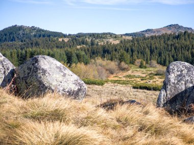 Bulgaristan 'ın Sofya Şehir Bölgesi Vitosha Dağı' ndaki Konyarnika bölgesinin sonbahar manzarası