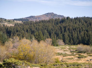 Bulgaristan 'ın Sofya Şehir Bölgesi Vitosha Dağı' ndaki Konyarnika bölgesinin sonbahar manzarası
