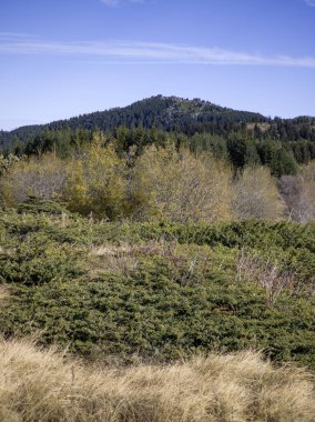 Bulgaristan 'ın Sofya Şehir Bölgesi Vitosha Dağı' ndaki Konyarnika bölgesinin sonbahar manzarası