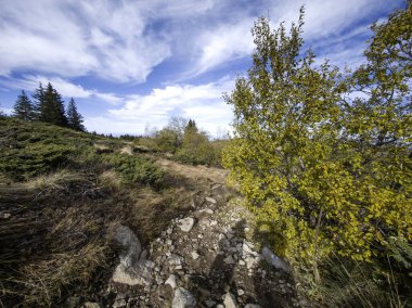 Bulgaristan 'ın Sofya Şehir Bölgesi Vitosha Dağı' ndaki Konyarnika bölgesinin sonbahar manzarası