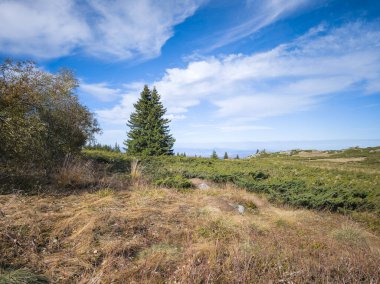 Bulgaristan 'ın Sofya Şehir Bölgesi Vitosha Dağı' ndaki Konyarnika bölgesinin sonbahar manzarası