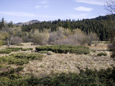 Bulgaristan 'ın Sofya Şehir Bölgesi Vitosha Dağı' ndaki Konyarnika bölgesinin sonbahar manzarası