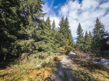 Bulgaristan 'ın Sofya Şehir Bölgesi Vitosha Dağı' ndaki Konyarnika bölgesinin sonbahar manzarası