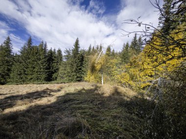 Bulgaristan 'ın Sofya Şehir Bölgesi Vitosha Dağı' ndaki Konyarnika bölgesinin sonbahar manzarası