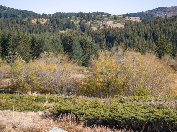 Bulgaristan 'ın Sofya Şehir Bölgesi Vitosha Dağı' ndaki Konyarnika bölgesinin sonbahar manzarası
