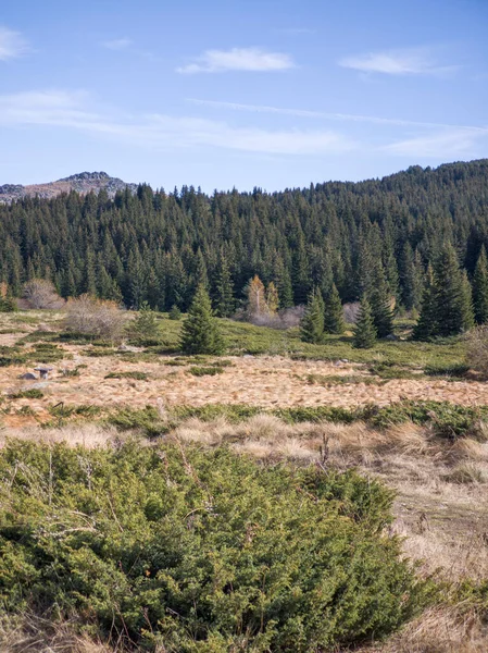 Bulgaristan 'ın Sofya Şehir Bölgesi Vitosha Dağı' ndaki Konyarnika bölgesinin sonbahar manzarası