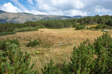 Bulgaristan 'ın Kokuşmuş Göl (Smradlivoto Gölü) yakınlarındaki Rila Dağı' nın şaşırtıcı manzarası