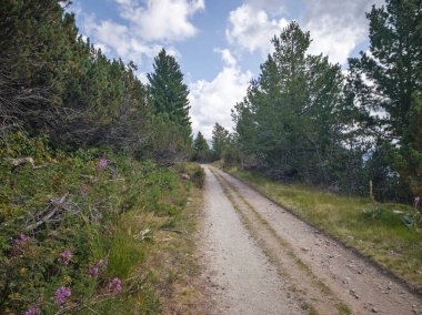 Bulgaristan 'ın Granchar Gölü yakınlarındaki Rila Dağı' nın İnanılmaz Yaz Manzarası
