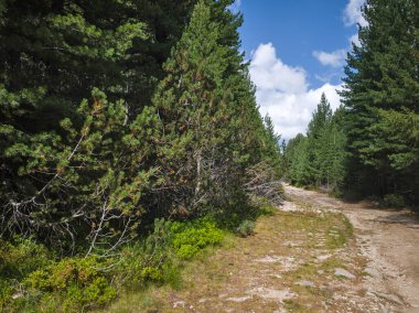 Bulgaristan 'ın Granchar Gölü yakınlarındaki Rila Dağı' nın İnanılmaz Yaz Manzarası