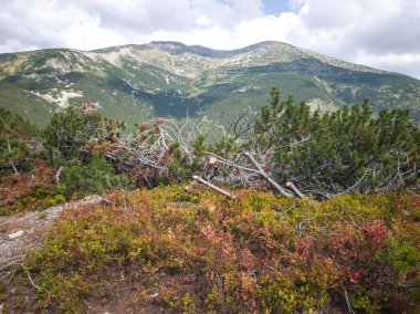 Bulgaristan 'ın Granchar Gölü yakınlarındaki Rila Dağı' nın İnanılmaz Yaz Manzarası