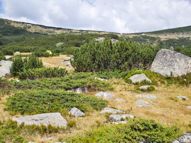 Bulgaristan 'ın Granchar Gölü yakınlarındaki Rila Dağı' nın İnanılmaz Yaz Manzarası